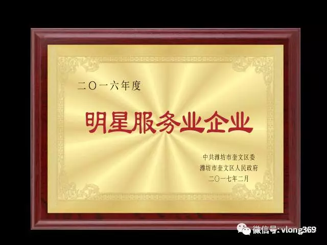 濰坊威龍電子商務科技有限公司獲得“2016年度明星服務業(yè)企業(yè)”稱號