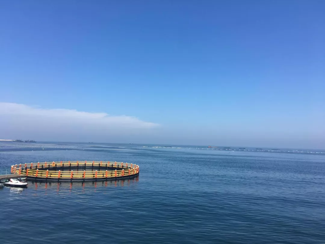威海二日游，共享夏日情